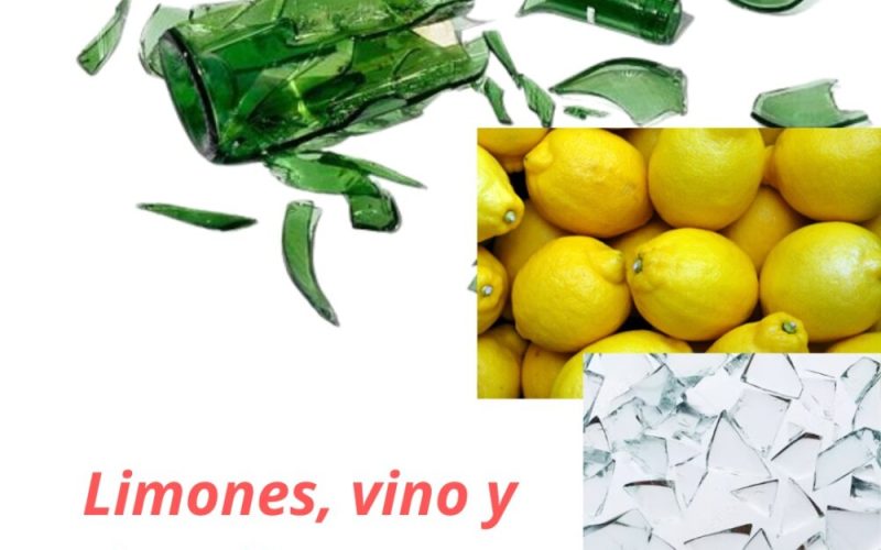 3-FOTO PARA TEXTO PAGINA
