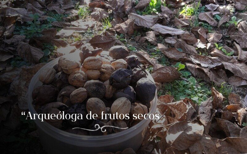 30-Arqueóloga de frutos secos