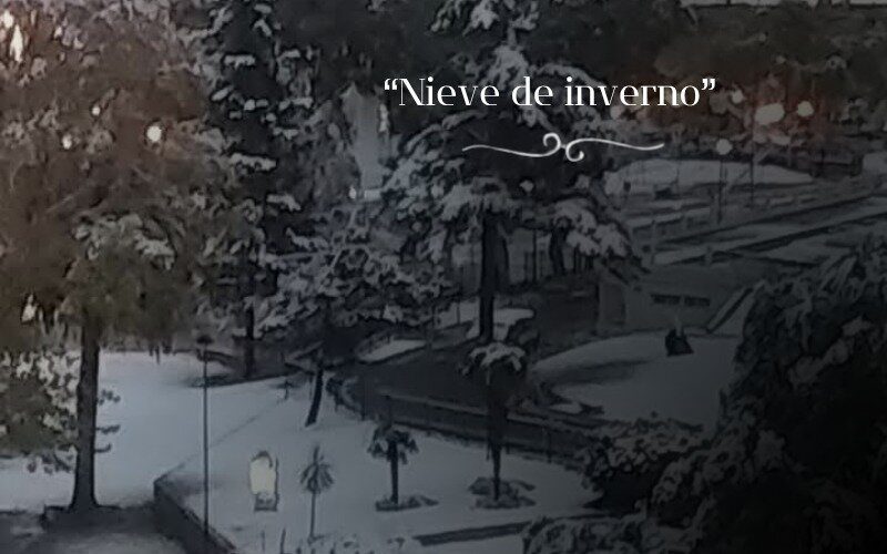 37-Nieve de invierno