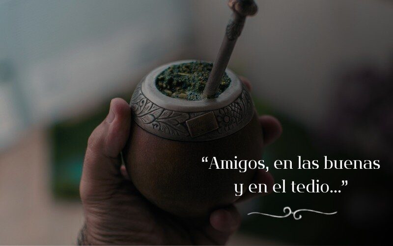 41-Amigos, en las buenas y en el tedio…