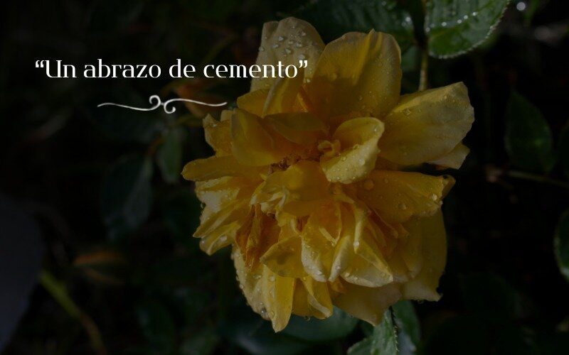 47-Un abrazo de cemento