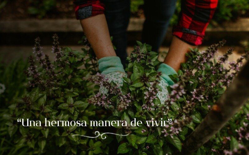51-Una hermosa manera de vivir