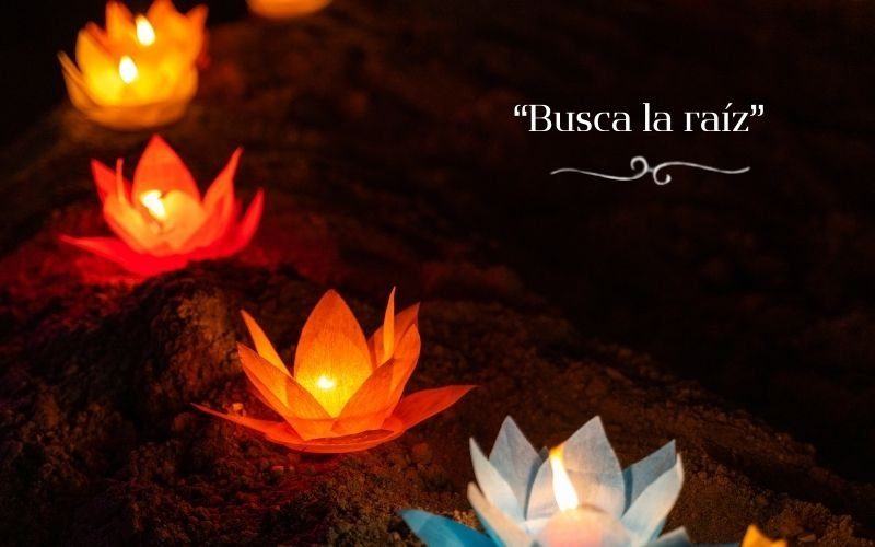 58-Busca la raíz
