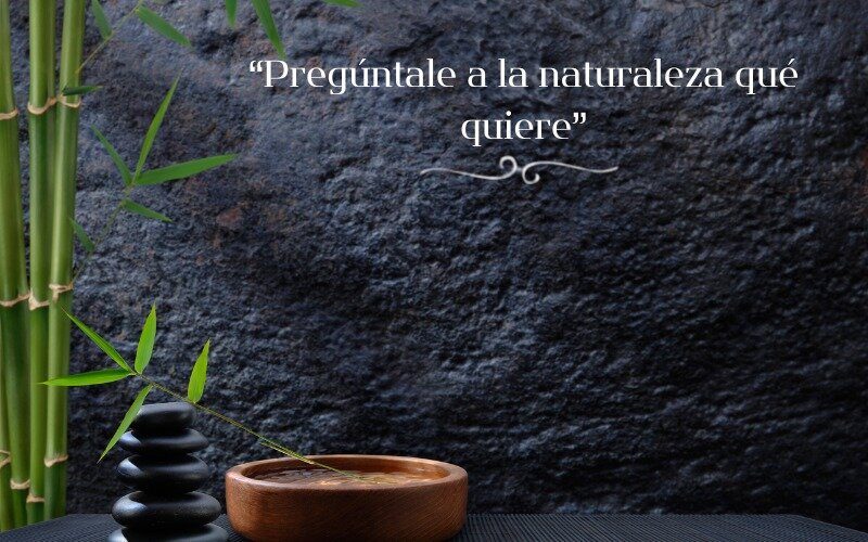 6-PREGUNTALE A LA NATURALEZA QUE QUIERE