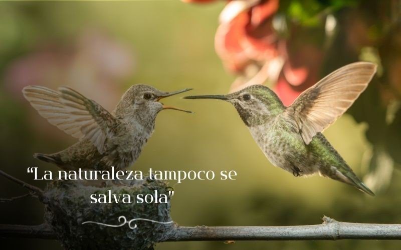 60-La naturaleza tampoco se salva sola