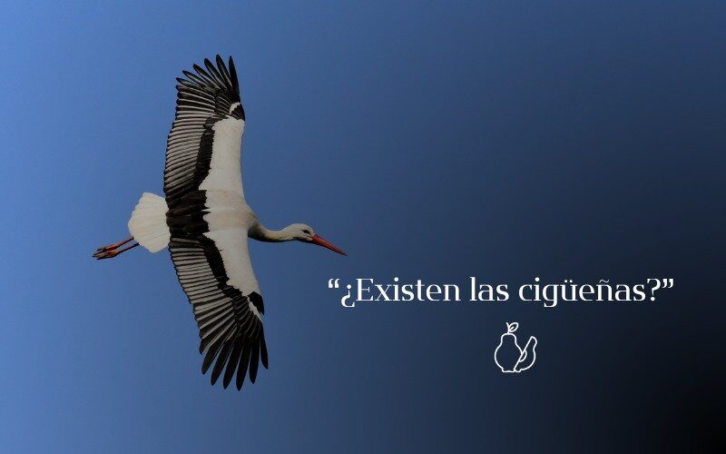 G5-¿Existen las Cigüeñas